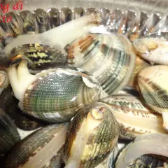 Vongole vive in acqua, pronte per imparare come spurgare le vongole e liberarle dalla sabbia.
