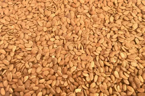Un mare di mandorle tostate, pronte per uno snack croccante e saporito.