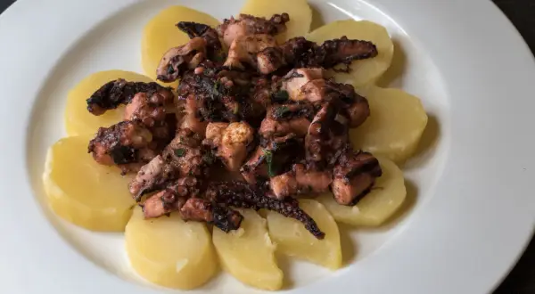 Un saporito polpo alla gallega, tagliato a pezzi e servito su fette di patate bollite, condito con erbe aromatiche.