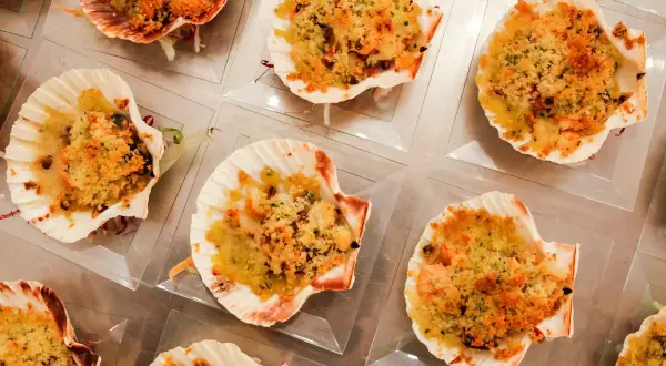 Deliziose capesante gratinate, servite in conchiglie, pronte per essere gustate.