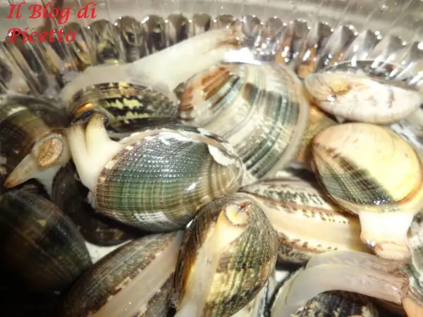 Vongole vive in acqua, pronte per imparare come spurgare le vongole e liberarle dalla sabbia.